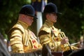 The Household Cavalry Band Royalty Free Stock Photo