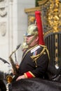 The Household Cavalry Band Royalty Free Stock Photo