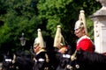 The Household Cavalry Band Royalty Free Stock Photo