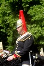 The Household Cavalry Band Royalty Free Stock Photo