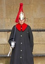 Household Cavalry Royalty Free Stock Photo