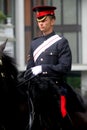 The Household Cavalry Mounted regiment