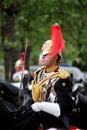 The Household Cavalry Mounted regiment