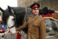 The Household Cavalry Mounted Regiment HCMR is a cavalry regiment of the British Army Royalty Free Stock Photo