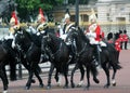 The household cavalry