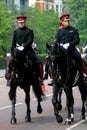 The household cavalry officer