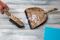 Household cleanliness and hygiene. One hand uses a hand brush to sweep paper debris from the wooden floor onto the dustpan. Next