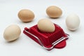 Household device for slicing eggs. Hard-boiled eggs slicer tool