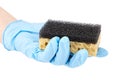 Household dishwashing sponge, hand in blue nitrile glove Royalty Free Stock Photo