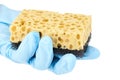 Household dishwashing sponge, hand in blue nitrile glove Royalty Free Stock Photo