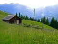 Household Farmer barn high on the meadow in mountains