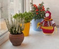 Household ornamental plants and folk doll motanka