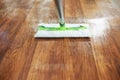 Closeup on mop and wet floor in modern living room in sunny day Royalty Free Stock Photo