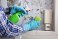 Hand With Glove Cleaning Mold From Wall Royalty Free Stock Photo