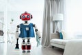 housemaid robot cleaning house