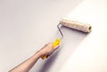Housepainter Royalty Free Stock Photo