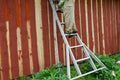 Housepainter man on ladder paint garden house wall