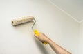 Housepainter Royalty Free Stock Photo