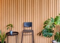 Houseplant and black chair on solid wooden battens wall Royalty Free Stock Photo