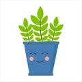 Houseplant in blue pot with face on white