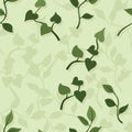 Houseplant branches background