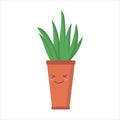 Houseplant in brown pot with face on white