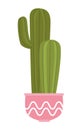 houseplant cactu in pink pot Royalty Free Stock Photo