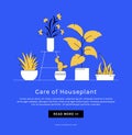 Houseplant care banner with place for text. Indoor plants. Vector