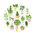 Houseplant in Ceramic Pots Growing Indoors Arranged in Circle Vector Template