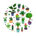 Houseplant in Ceramic Pots Growing Indoors Arranged in Circle Vector Template