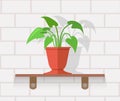 Houseplant Design Flat Concept Royalty Free Stock Photo