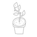 Houseplant doodle llustration, isolated vector drawing of plant growing in ceramic pot, good as logo