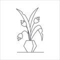 Houseplant editable line vector illustration - outline blooming indoor flower with leaves and blossoms in pot.