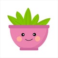 Houseplant with face in pink pot on white