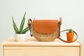 Houseplant and feminine wicker handbag on on a wooden shelf. Minimal. Organic