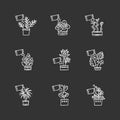 Houseplant fertilizing chalk white icons set on black background. Feeding domesticated plants. Decorative plant growing