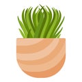 Houseplant flower icon cartoon vector. Office plant indoor Royalty Free Stock Photo