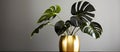 Houseplant in gold vase decorates table beautifully