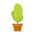 Houseplant or house plant in pot vector icon isolated on white background Royalty Free Stock Photo