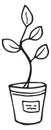 Houseplant icon. Hand drawn plant in flowerpot