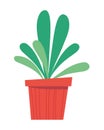 houseplant icon isolated