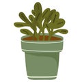 houseplant icon isolated