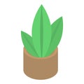 Houseplant icon, isometric style