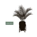 Houseplant indoor palm in a pot and decorative vintage plant stand Royalty Free Stock Photo