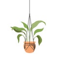 Houseplant on macrame hangers icon Royalty Free Stock Photo