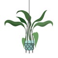 Houseplant on macrame hangers icon Royalty Free Stock Photo