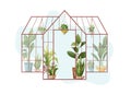 Houseplant and macrame plant growing in hothouse. Greenhouse and macrame plants isolated on white background. Cartoon