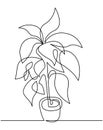 Houseplant in pot continuous one line vector drawing. Hand drawn floral silhouette.