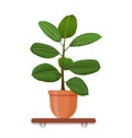 Houseplant in a pot in flat style. Indoor gerb on shelf isolated on a white background. Vector illustration