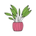 houseplant in a pot icon hand drawn. , minimalism, scandinavian, doodle, cartoon. sticker, spathiphyllum, plant, flower.